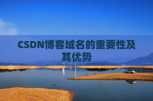CSDN博客域名的重要性及其优势